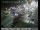 Webcam in Oakland, California, 2.5 mi away