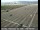 Webcam in Oakland, California, 1.5 mi away