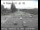 Webcam in Palo Alto, California, 20.2 km