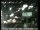 Webcam in Cordelia, California, 32.2 mi away