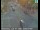 Webcam in Solvang, California, 28.8 mi away