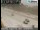Webcam in Carpinteria, Kalifornien, 133.4 km entfernt