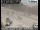 Webcam in Carpinteria, Californien, 111.4 km