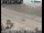 Webcam in Carpinteria, California, 117.3 km