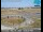Webcam in Fresno, California, 124.8 km