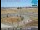 Webcam in Fresno, California, 45.8 mi away