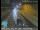 Webcam in Santa Monica, Kalifornien, 44.4 km entfernt