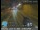 Webcam in Santa Monica, California, 4.2 mi away