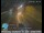 Webcam in Santa Monica, Californien, 17.7 km