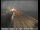 Webcam in San Francisco, California, 6.2 mi away