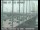 Webcam in San Francisco, Californien, 16.1 km