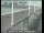 Webcam in San Francisco, Kalifornien, 12.1 km entfernt
