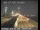 Webcam in San Francisco, Kalifornien, 6.5 km entfernt
