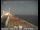 Webcam in San Francisco, Kalifornien, 6.5 km entfernt
