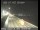 Webcam in San Francisco, California, 28.7 km