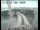 Webcam in San Francisco, California, 2.6 mi away