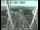 Webcam in San Francisco, California, 1.9 mi away