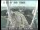 Webcam in San Francisco, California, 5.5 mi away