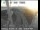 Webcam in San Francisco, California, 10.9 km