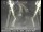 Webcam in San Francisco, California, 5.5 mi away