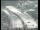Webcam in San Francisco, California, 3.8 km