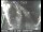 Webcam in San Francisco, California, 14.2 km