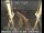 Webcam in San Francisco, California, 14.2 km