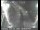 Webcam in San Francisco, Kalifornien, 14.2 km entfernt