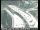 Webcam in San Francisco, California, 5.5 mi away