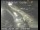 Webcam in San Francisco, Californien, 5.5 km