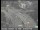 Webcam in San Francisco, California, 5.5 mi away