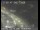 Webcam in San Francisco, Kalifornien, 11.9 km entfernt