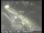Webcam in San Francisco, California, 4.6 mi away