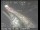 Webcam in San Francisco, Kalifornien, 11.9 km entfernt