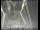 Webcam in San Francisco, California, 5.5 mi away