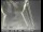 Webcam in San Francisco, Kalifornien, 4.8 km entfernt