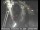 Webcam in San Francisco, California, 5.5 mi away