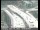 Webcam in San Francisco, California, 14.2 km