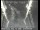 Webcam in San Francisco, Californien, 2.6 km