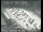 Webcam in San Francisco, California, 14.2 km