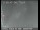 Webcam in San Francisco, California, 10.6 mi away
