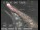Webcam in San Francisco, Kalifornien, 14.2 km entfernt