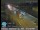 Webcam in Alhambra, California, 28.8 km