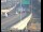 Webcam in Albany, California, 19.4 mi away