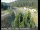 Webcam in Applegate, California, 65.1 km
