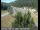 Webcam in Applegate, Kalifornien, 50.6 km entfernt