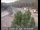 Webcam in Applegate, California, 27.9 mi away