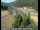 Webcam in Applegate, California, 40.9 mi away