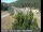 Webcam in Applegate, California, 20.6 mi away