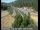 Webcam in Applegate, Kalifornien, 24.7 km entfernt